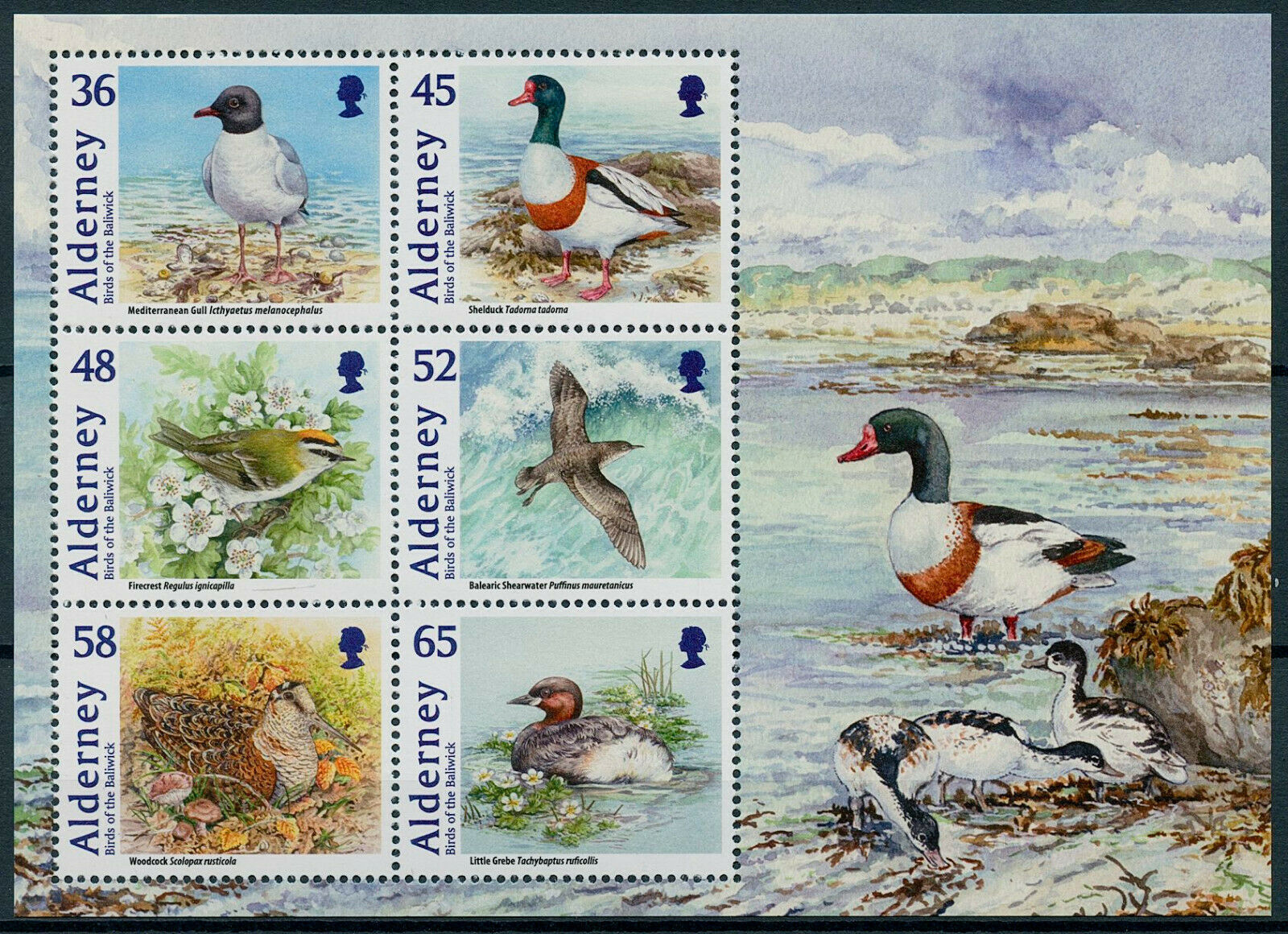 Alderney 2011 MNH Bailiwick Birds on Stamps Shelduck Woodcock Grebe Ducks 6v M/S