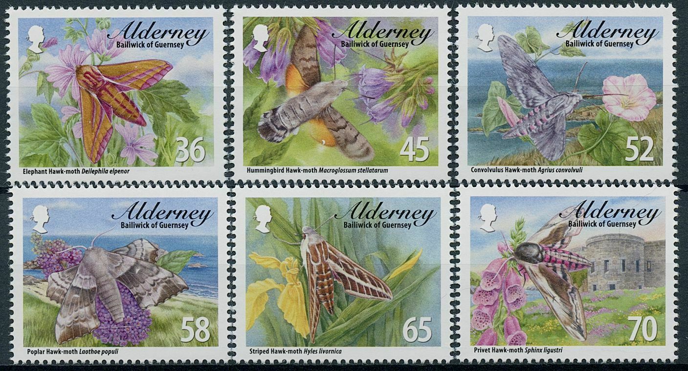 Alderney 2011 MNH Insects Stamps Hawkmoths Moths Elephant Hawkmoth 6v Set