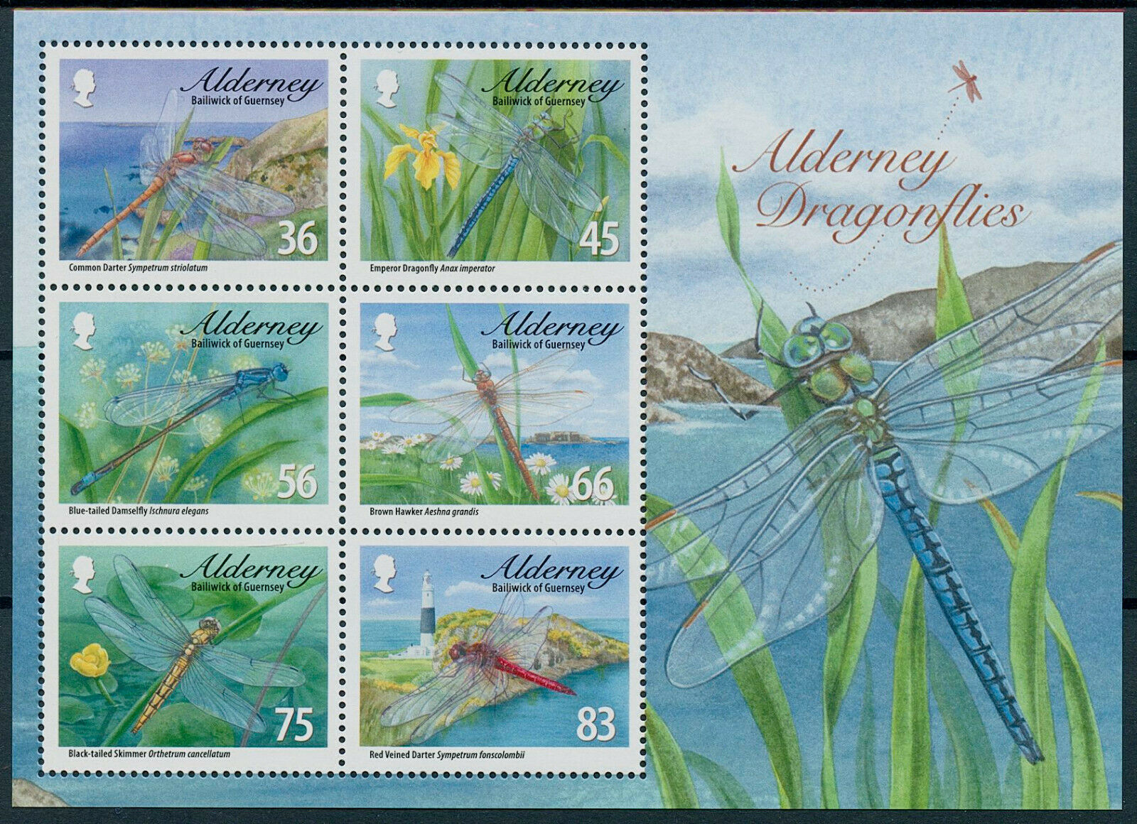 Alderney 2010 MNH Insects Stamps Dragonflies Dragonfly Hawker Darter 6v M/S