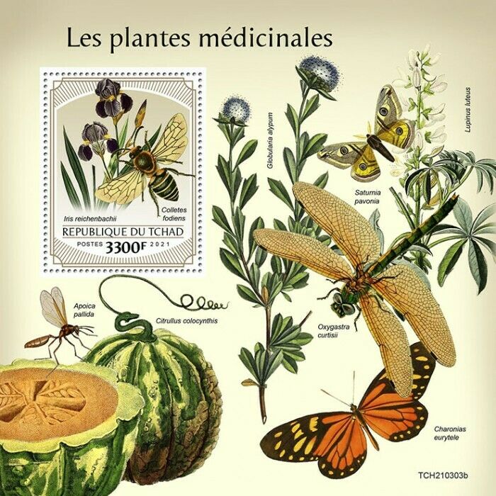 Chad 2021 MNH Medicinal Plants Stamps Flora Butterflies Nature 1v S/S
