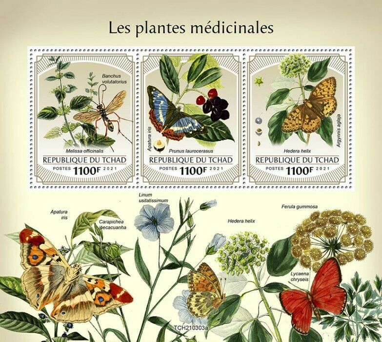 Chad 2021 MNH Medicinal Plants Stamps Flora Butterflies Nature 3v M/S