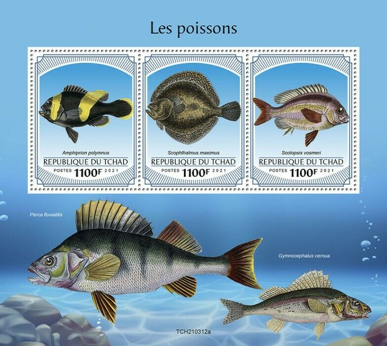 Chad 2021 MNH Fish Stamps Fishes Bream Turbot Saddleback Clownfish 3v M/S