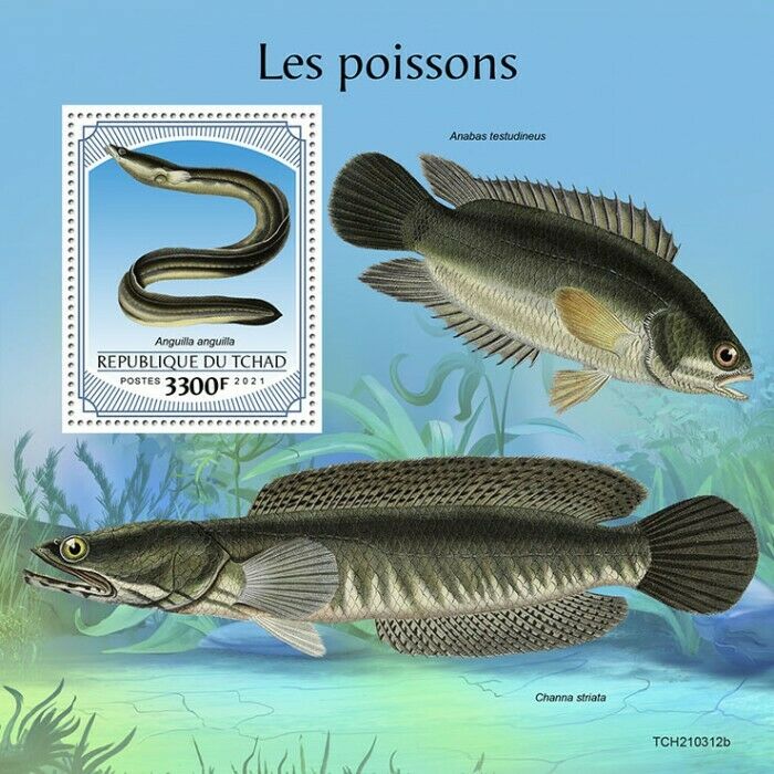 Chad 2021 MNH Fish Stamps Fishes European Eel 1v S/S