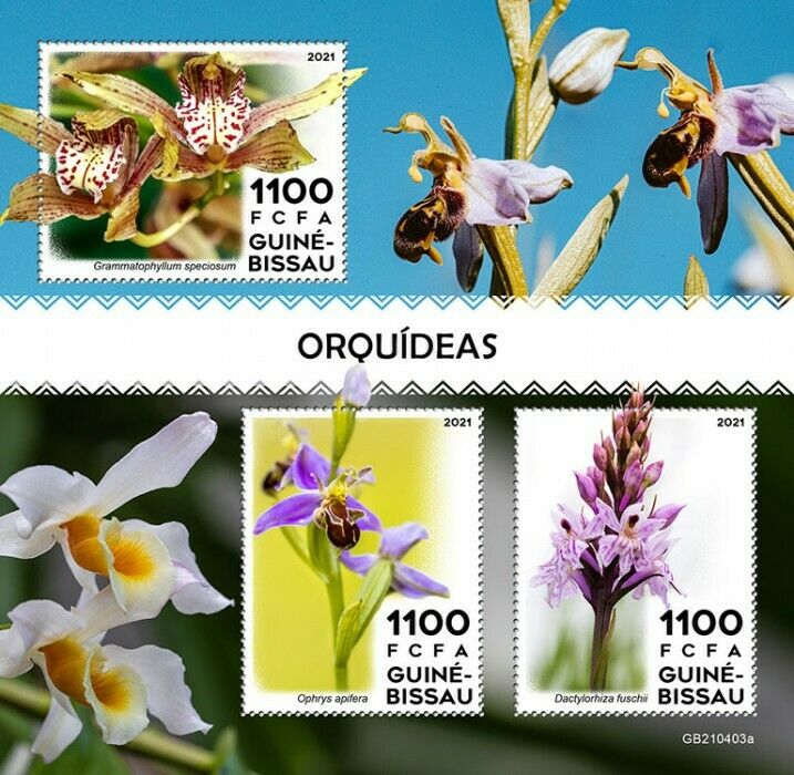 Guinea-Bissau 2021 MNH Flowers Stamps Orchids Ophrys Orchid Nature 3v M/S