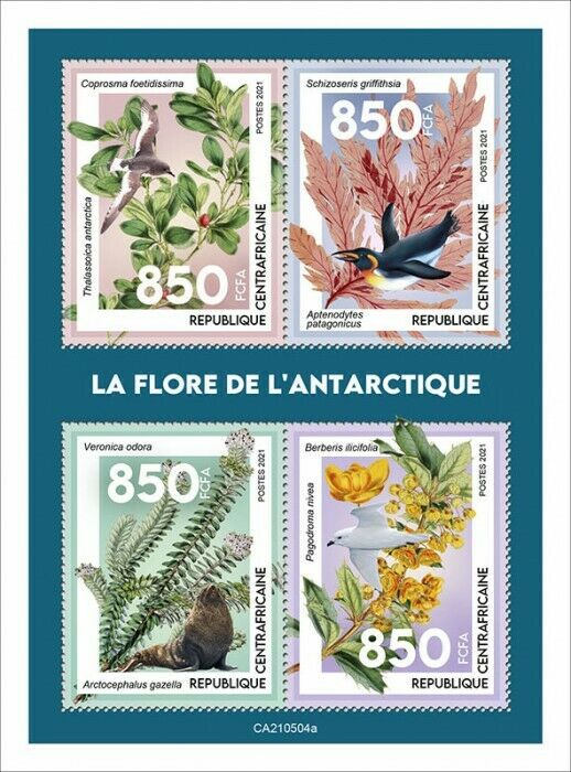 Central African Rep 2021 MNH Flowers Stamps Flora of Antarctica Penguins 4v M/S