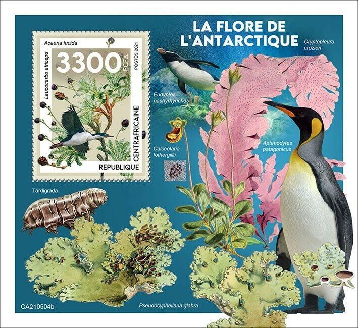 Central African Rep 2021 MNH Flowers Stamps Flora of Antarctica Penguins 1v S/S