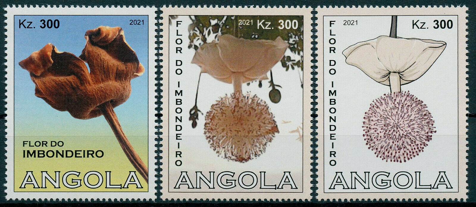 Angola 2021 MNH Flowers Stamps Baobab Flowers Trees Nature & Plants 3v Set