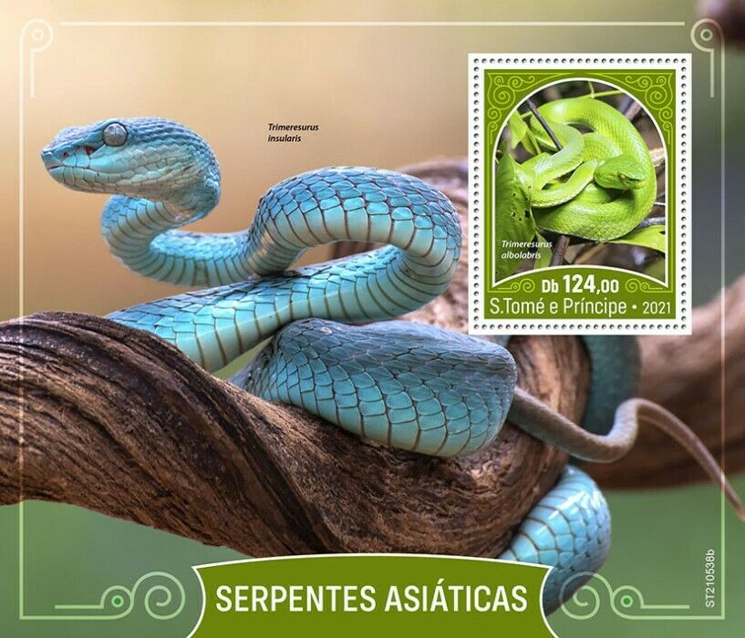 Sao Tome & Principe 2021 MNH Reptiles Stamps Asian Snakes Pit Viper Snake 1v S/S