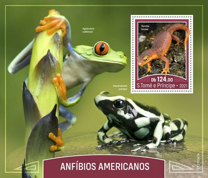 Sao Tome & Principe 2021 MNH American Amphibians Stamps Frogs Newts 1v S/S