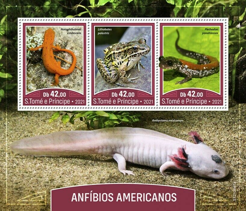 Sao Tome & Principe 2021 MNH American Amphibians Stamps Frogs Salamanders 3v M/S