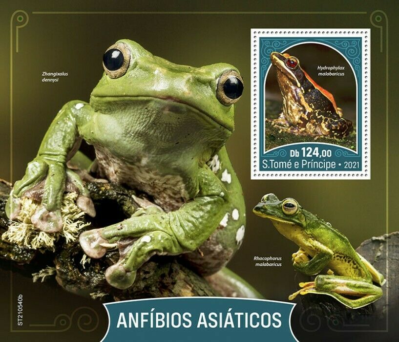 Sao Tome & Principe 2021 MNH Asian Amphibians Stamps Frogs Fungoid Frog 1v S/S