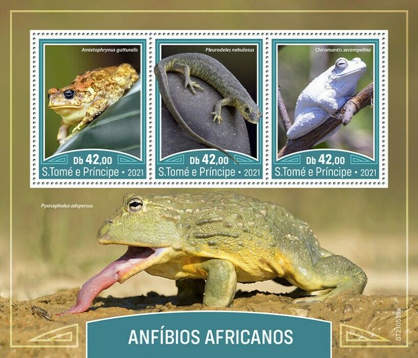 Sao Tome & Principe 2021 MNH African Amphibians Stamps Frogs Ribbed Newt 3v M/S