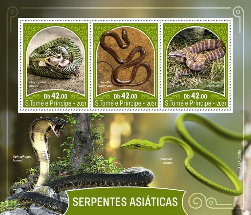 Sao Tome & Principe 2021 MNH Reptiles Stamps Asian Snakes Reed Snake 3v M/S