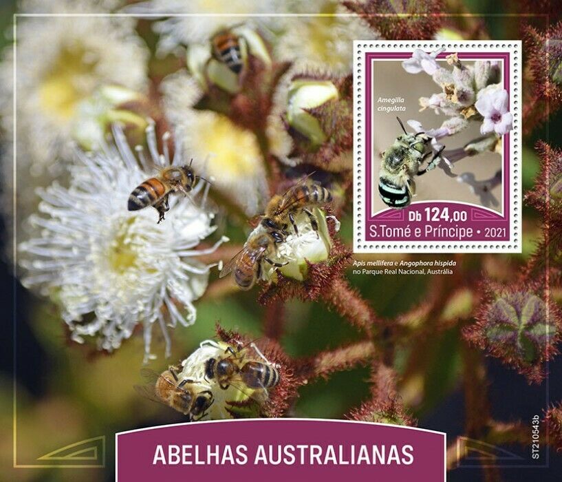 Sao Tome & Principe 2021 MNH Australian Bees Stamps Bee Insects 1v S/S