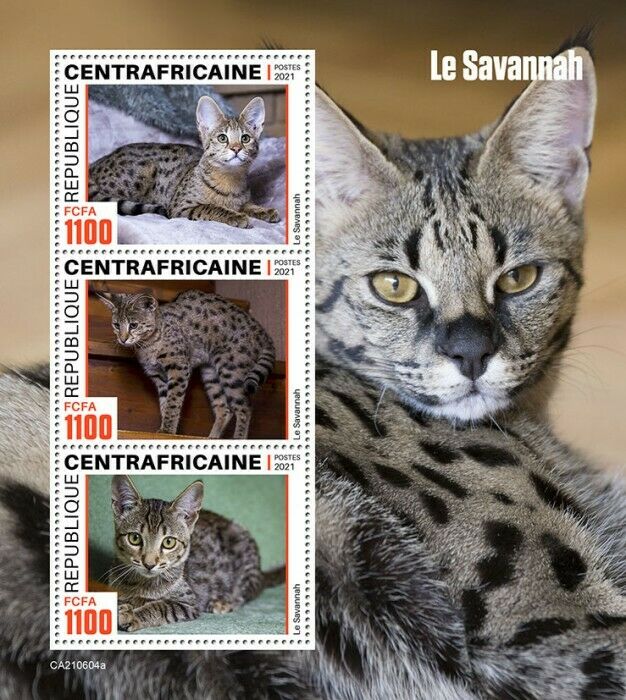 Central African Rep 2021 MNH Cats Stamps Savannah Cat Domestic Animals 3v M/S