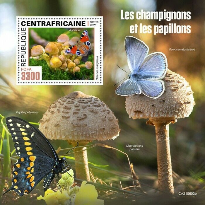 Central African Rep 2021 MNH Mushrooms & Butterflies Stamps Fungi Nature 1v S/S