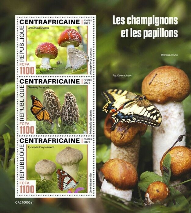Central African Rep 2021 MNH Mushrooms & Butterflies Stamps Fungi Nature 3v M/S