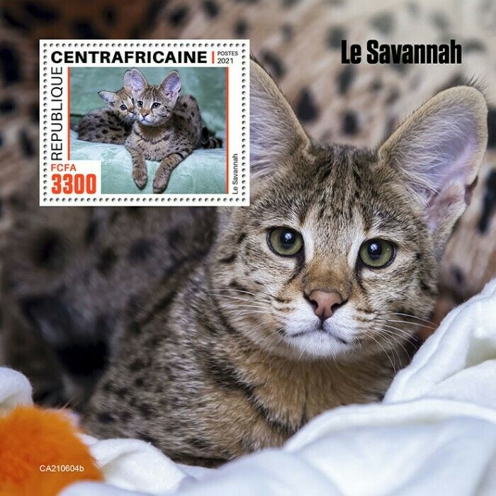 Central African Rep 2021 MNH Cats Stamps Savannah Cat Domestic Animals 1v S/S