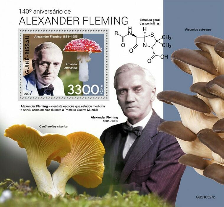 Guinea-Bissau 2021 MNH Mushrooms Stamps Alexander Fleming Science Fungi 1v S/S