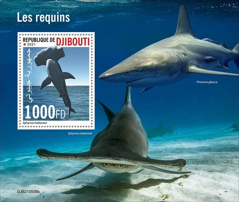 Djibouti 2021 MNH Marine Animals Stamps Sharks Great Hammerhead Shark 1v S/S