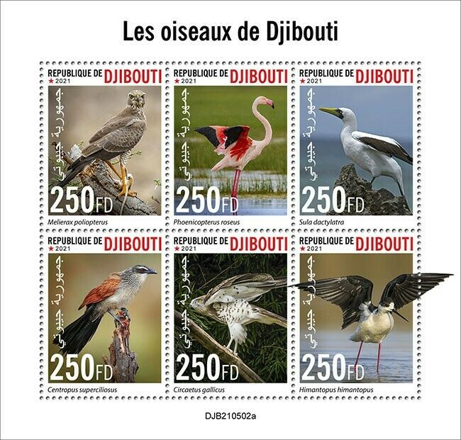 Djibouti 2021 MNH Birds on Stamps Flamingos Waders Birds of Prey Raptors 6v M/S