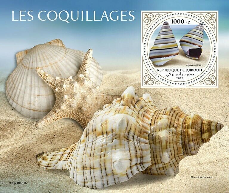 Djibouti 2021 MNH Seashells Stamps Sea Shells Liguus Marine 1v S/S