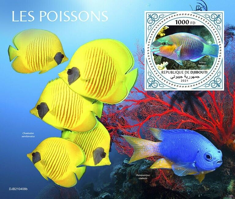 Djibouti 2021 MNH Fish Stamps Fishes Bridled Parrotfish 1v S/S