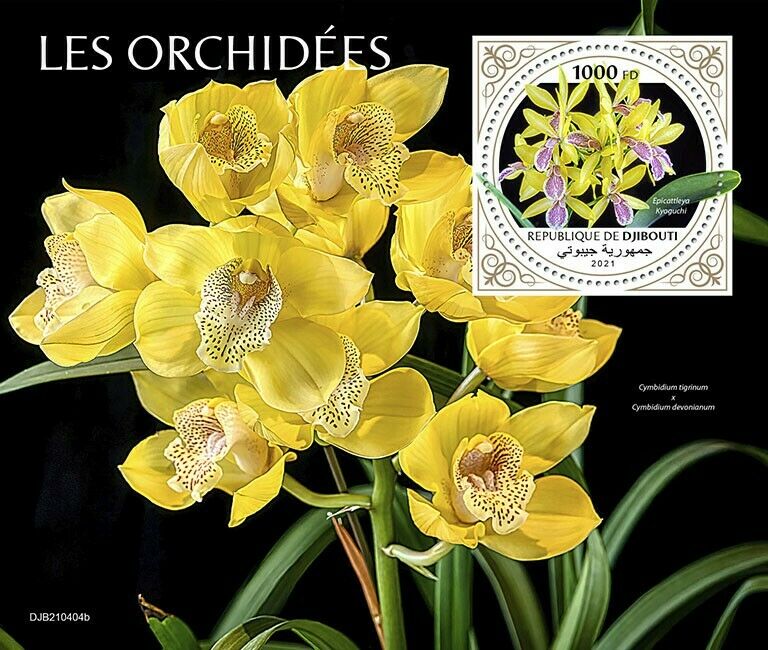 Djibouti 2021 MNH Flowers Stamps Orchids Epicattleya Orchid Nature 1v S/S
