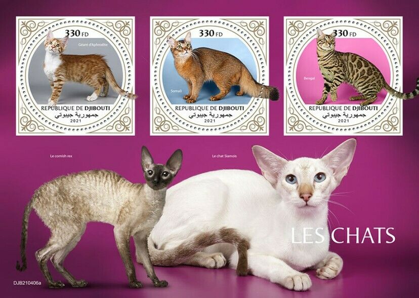 Djibouti 2021 MNH Cats Stamps Giant Aphrodite Somali Bengal Pets 3v M/S