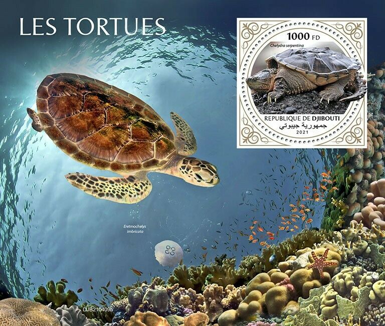 Djibouti 2021 MNH Turtles Stamps Common Snapping Turtle Reptiles 1v S/S