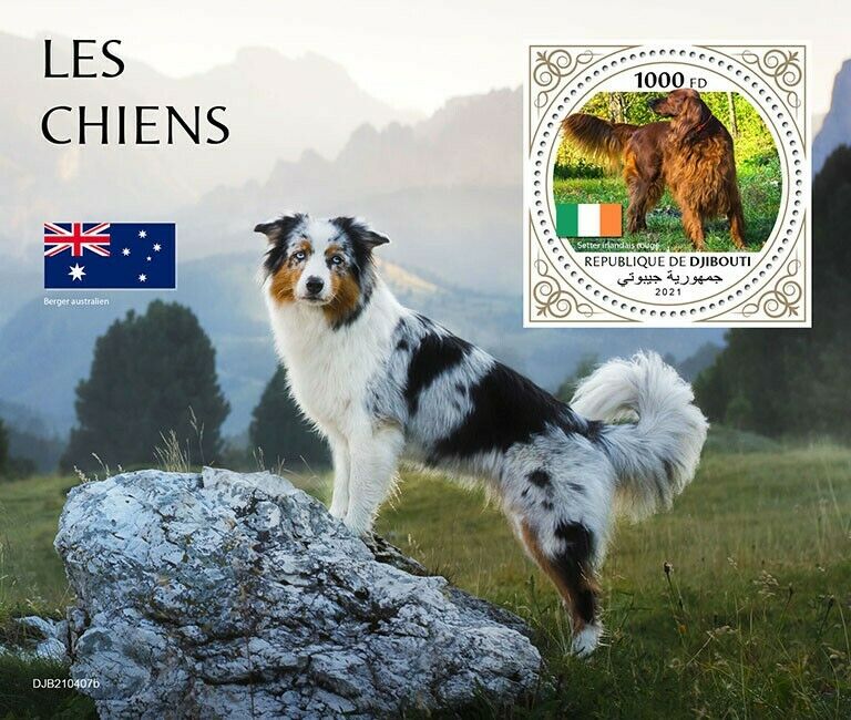 Djibouti 2021 MNH Dog Stamps Irish Setter Domestic Animals Pets 1v S/S
