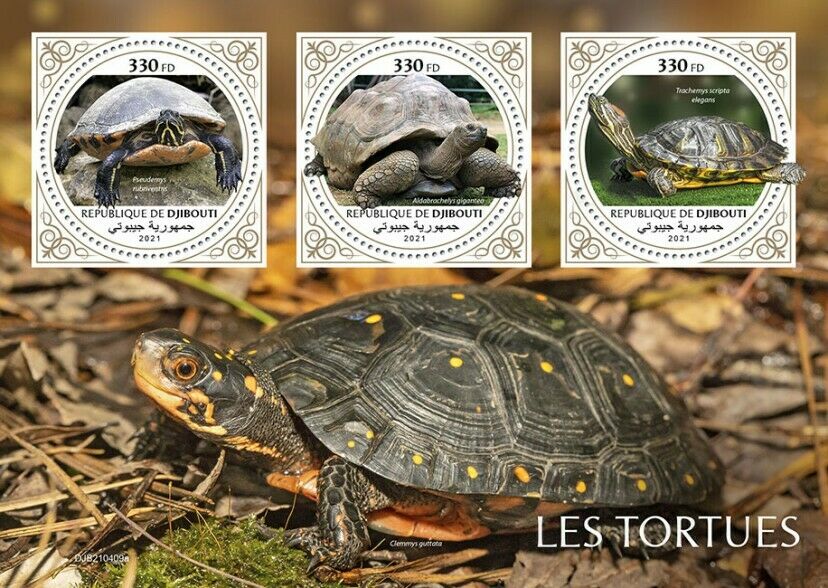 Djibouti 2021 MNH Turtles Stamps Red-Bellied Cooter Turtle Reptiles 3v M/S