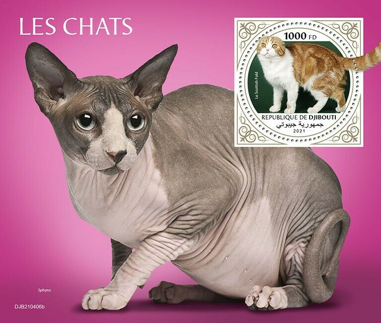 Djibouti 2021 MNH Cats Stamps Scottish Fold Sphynx Cat Domestic Animals 1v S/S