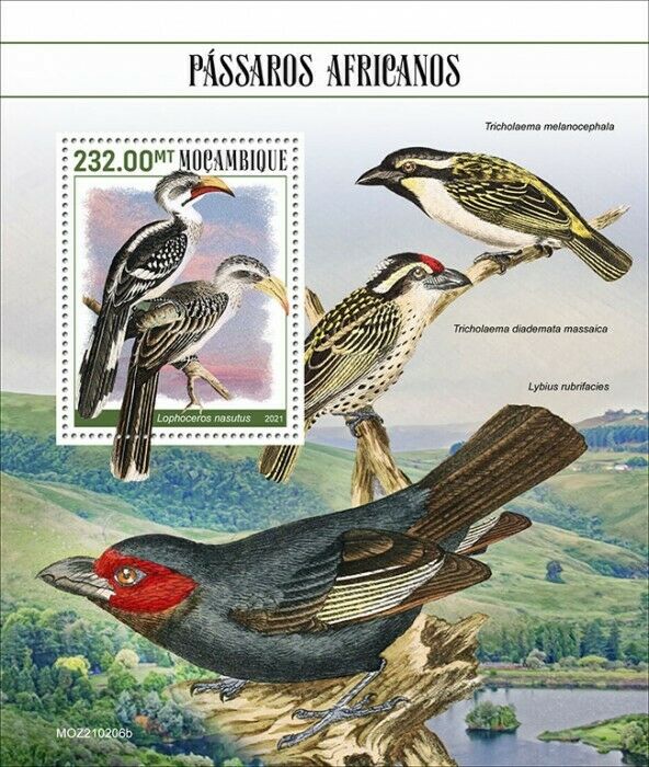 Mozambique 2021 MNH Birds of Africa on Stamps African Grey Hornbills 1v S/S