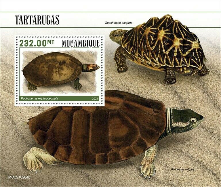 Mozambique 2021 MNH Turtles Stamps Tortoises Amazon River Turtle Reptiles 1v S/S