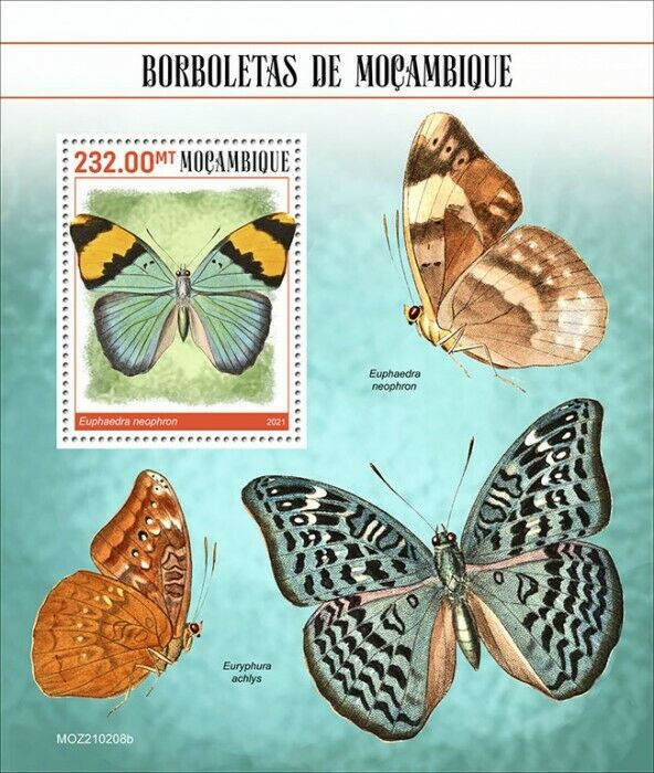 Mozambique 2021 MNH Butterflies Stamps Gold Banded Forester Butterfly 1v S/S