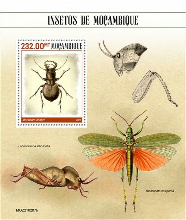 Mozambique 2021 MNH Insects Stamps Beetles Beetle Grasshoppers 1v S/S