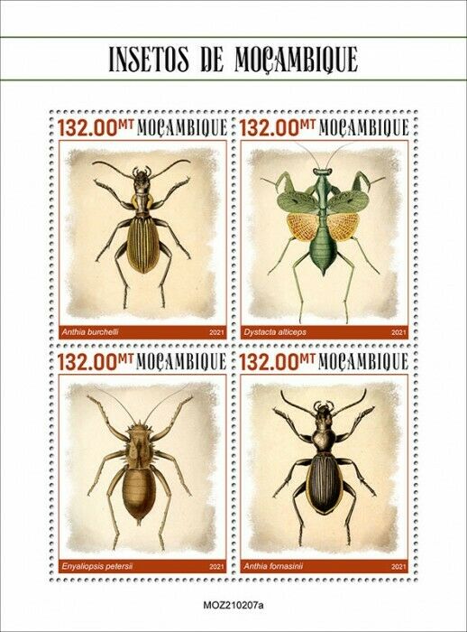 Mozambique 2021 MNH Insects Stamps Beetles Beetle Dystacta 4v M/S