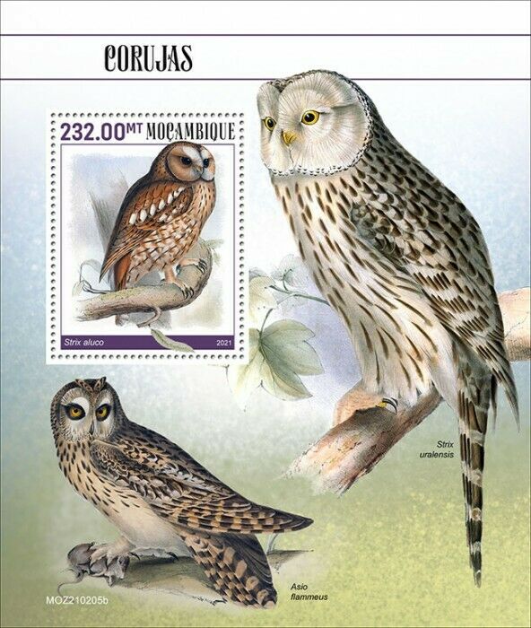 Mozambique 2021 MNH Birds of Prey on Stamps Owls Ural Tawny Owl 1v S/S