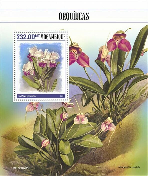Mozambique 2021 MNH Flowers Stamps Orchids Cattleya Orchid Nature 1v S/S