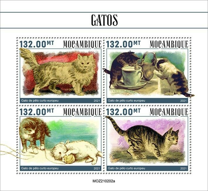Mozambique 2021 MNH Cats Stamps European Shorthair Cat Domestic Animals 4v M/S
