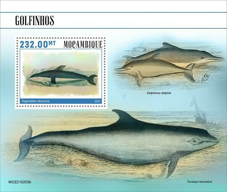 Mozambique 2021 MNH Marine Animals Stamps Dolphins Dusky Dolphin 1v S/S