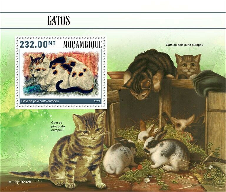 Mozambique 2021 MNH Cats Stamps European Shorthair Cat Domestic Animals 1v S/S