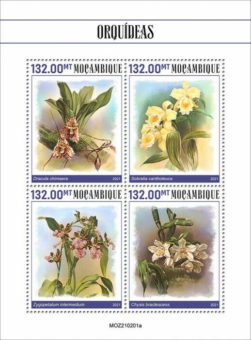 Mozambique 2021 MNH Flowers Stamps Orchids Sobralia Orchid Nature 4v M/S