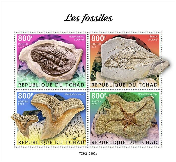 Chad 2021 MNH Prehistoric Animals Stamps Fossils Archaeology 4v M/S