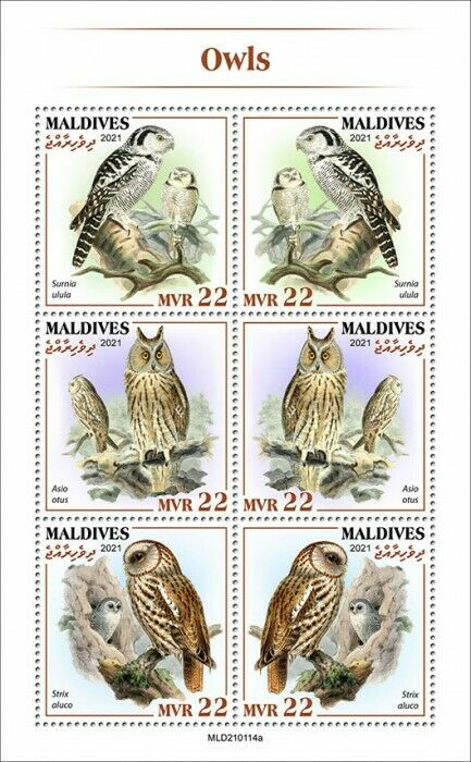 Maldives 2021 MNH Birds of Prey on Stamps Owls Northern Hawk-Owl Owl 6v M/S