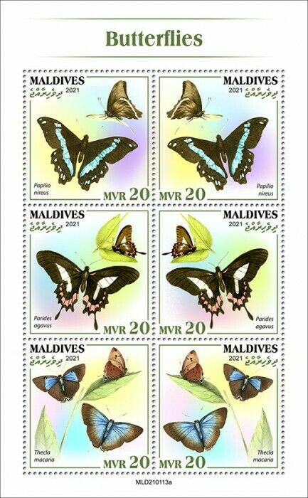 Maldives 2021 MNH Butterflies Stamps Cattleheart Swallowtail Butterfly 6v M/S