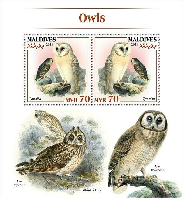 Maldives 2021 MNH Birds of Prey on Stamps Owls Barn Owl 2v S/S