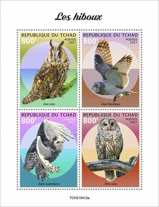 Chad 2021 MNH Birds of Prey on Stamps Owls Short-Eared Long-Eared Owl 4v M/S