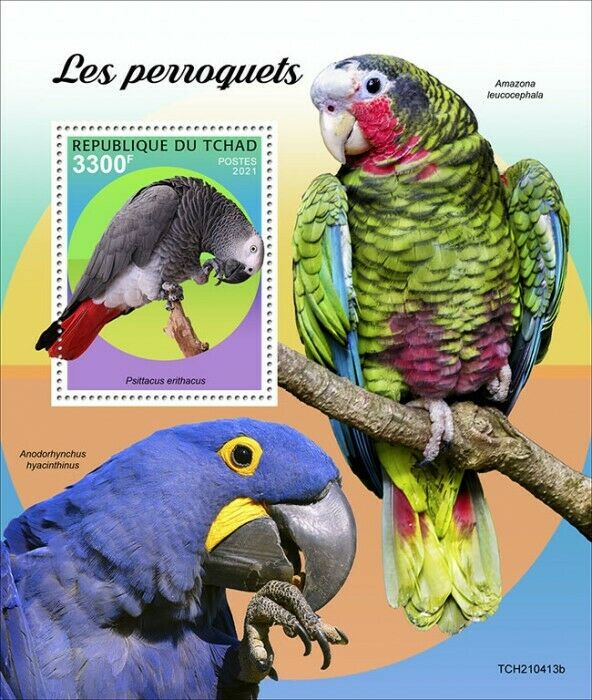 Chad 2021 MNH Birds Stamps Parrots African Grey Parrot Macaws 1v S/S